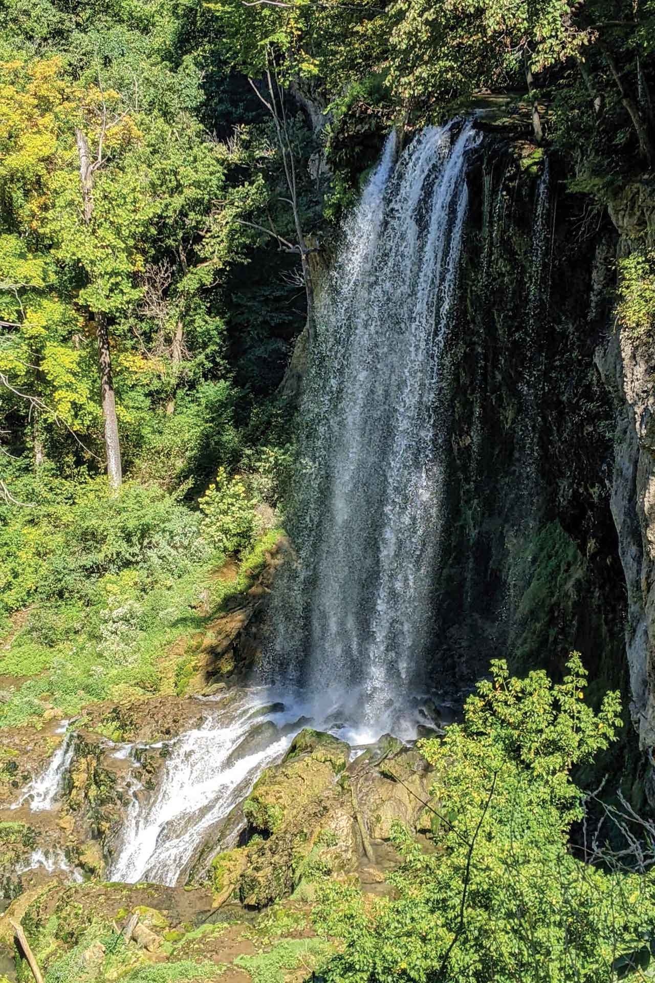 A vertical photo of a waterfall surrounded by summer leaves